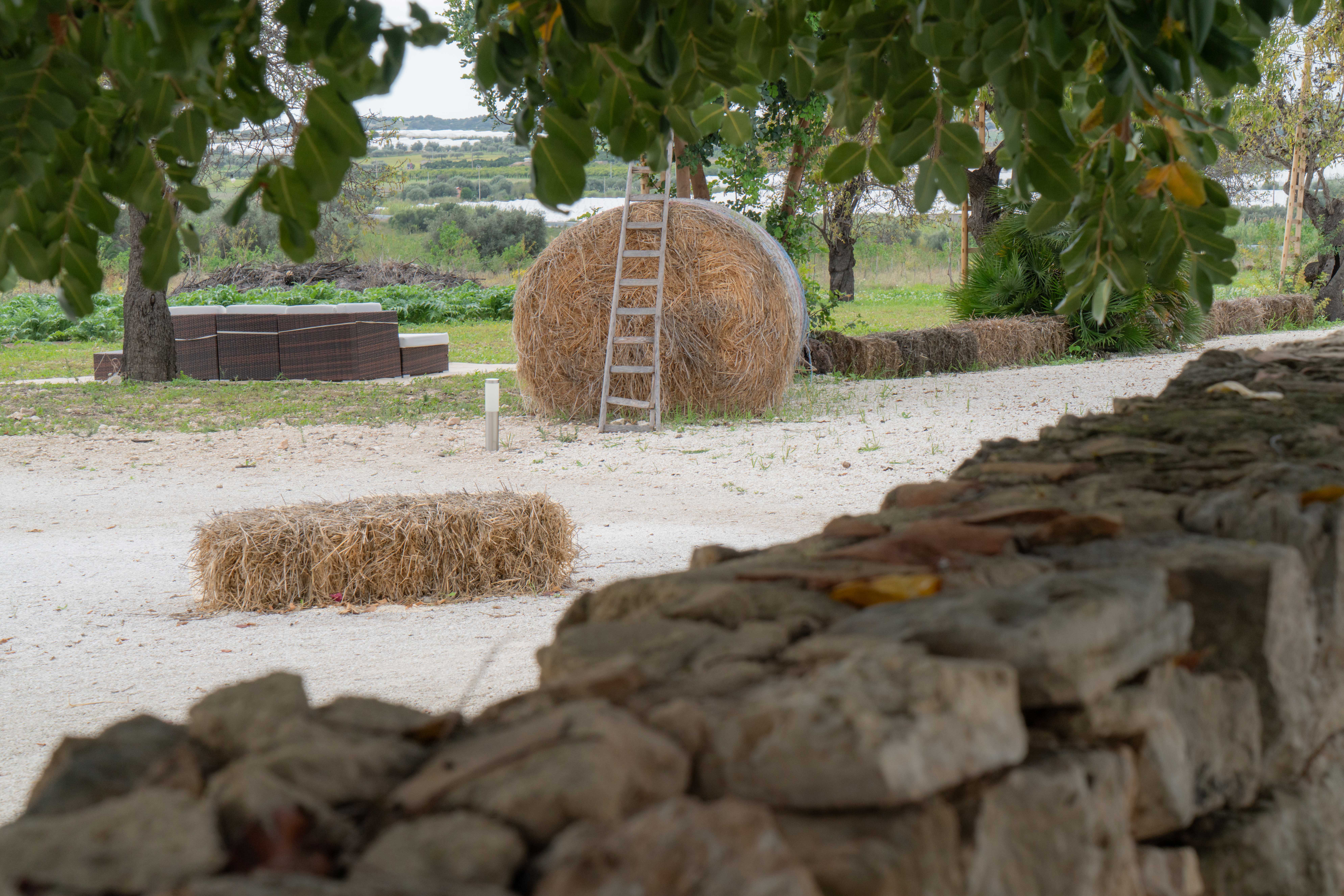 Pantanelli di vendicari